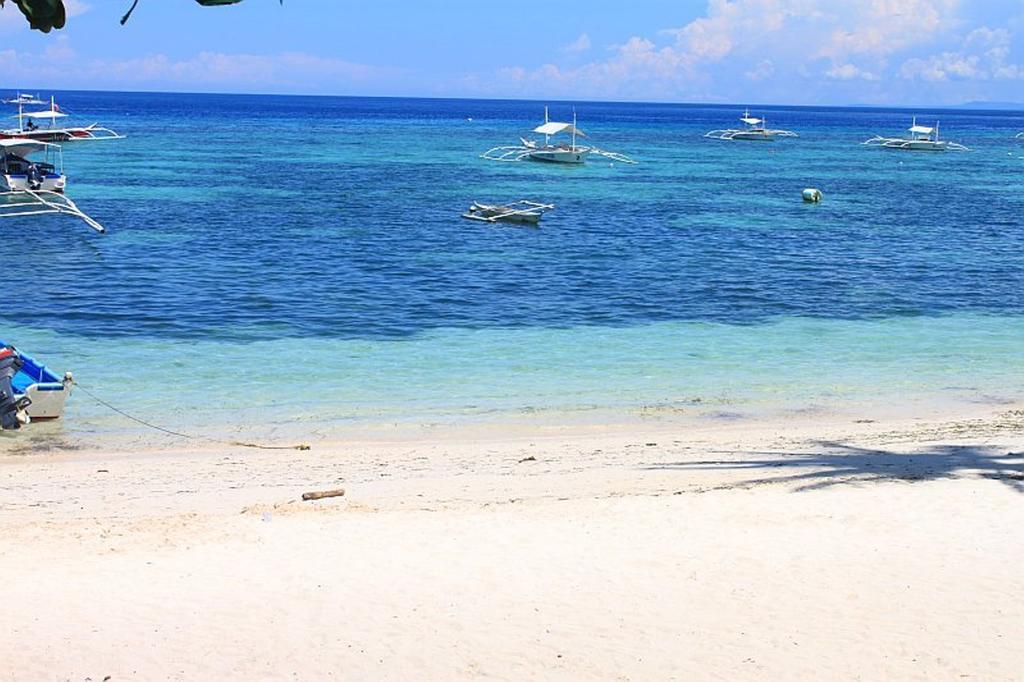 Lost Horizon Dive 3* Bohol